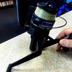 Quantum LS7