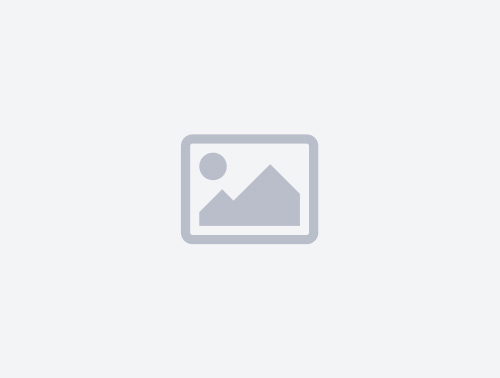 Female White Gold Chain 2.63g/10kt 