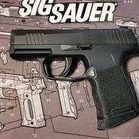 Sig Sauer Inc. P365 .380 NEW 